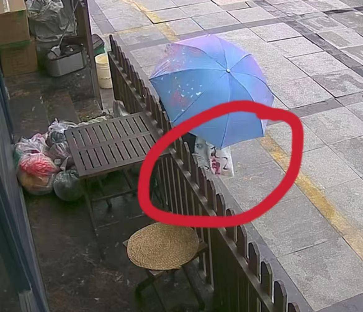 皇冠信用网怎么开户
_又两只鸡没了!杭州小店老板娘崩溃:“顺”食材上瘾的这位阿姨皇冠信用网怎么开户
,求求了