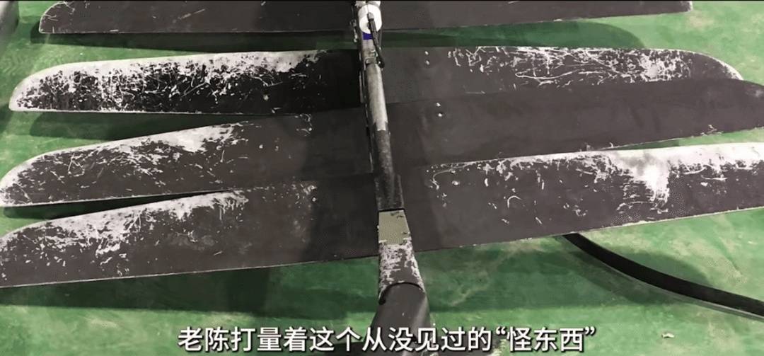 信用平台出租
_中国渔民捞到“谍鱼”反手举报信用平台出租
!间谍关系网被挖出