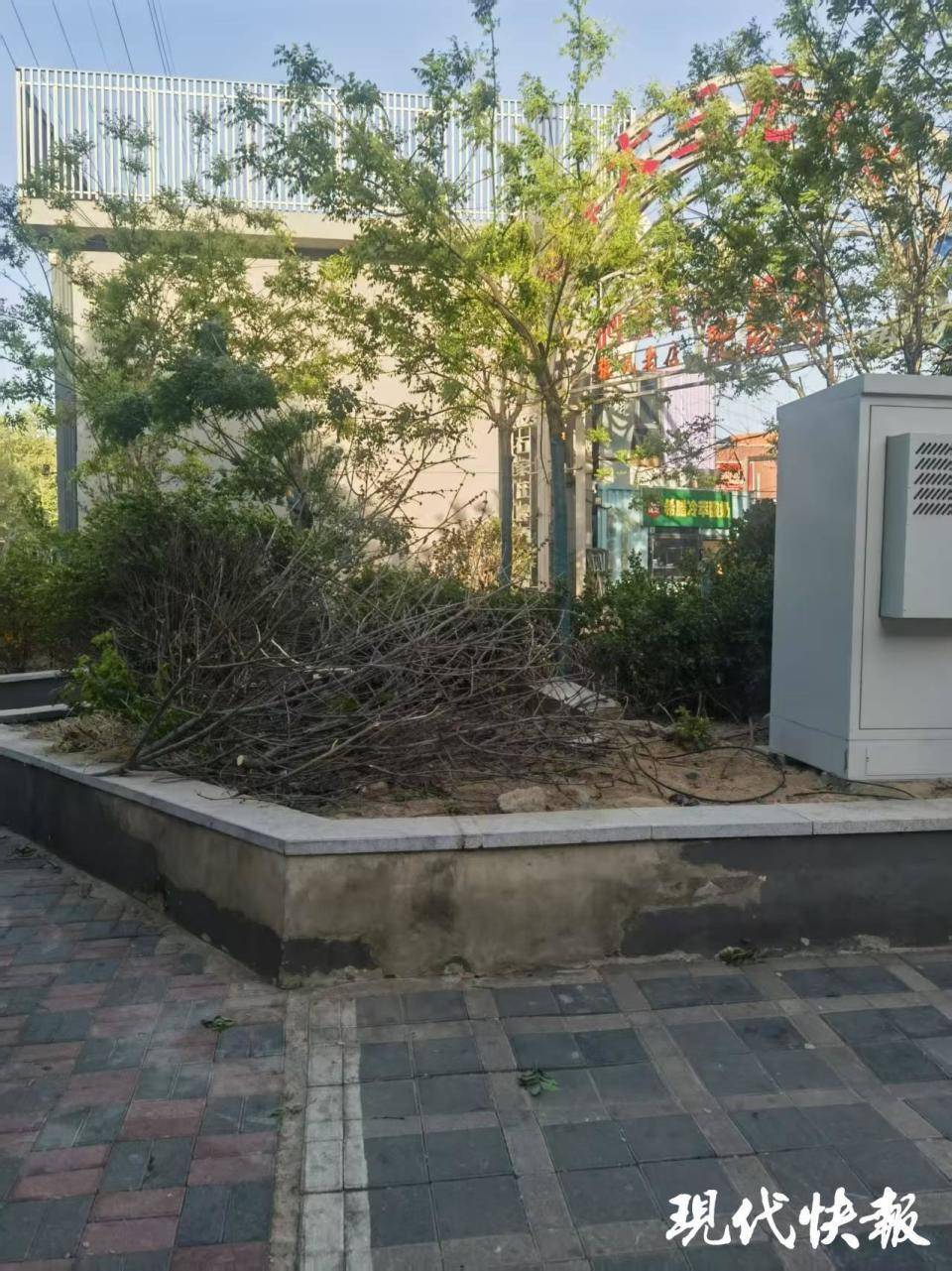 皇冠信用網APP下载
_石家庄被家暴女子驾车逃跑致丈夫身亡皇冠信用網APP下载
,一审以故意杀人罪获刑11年