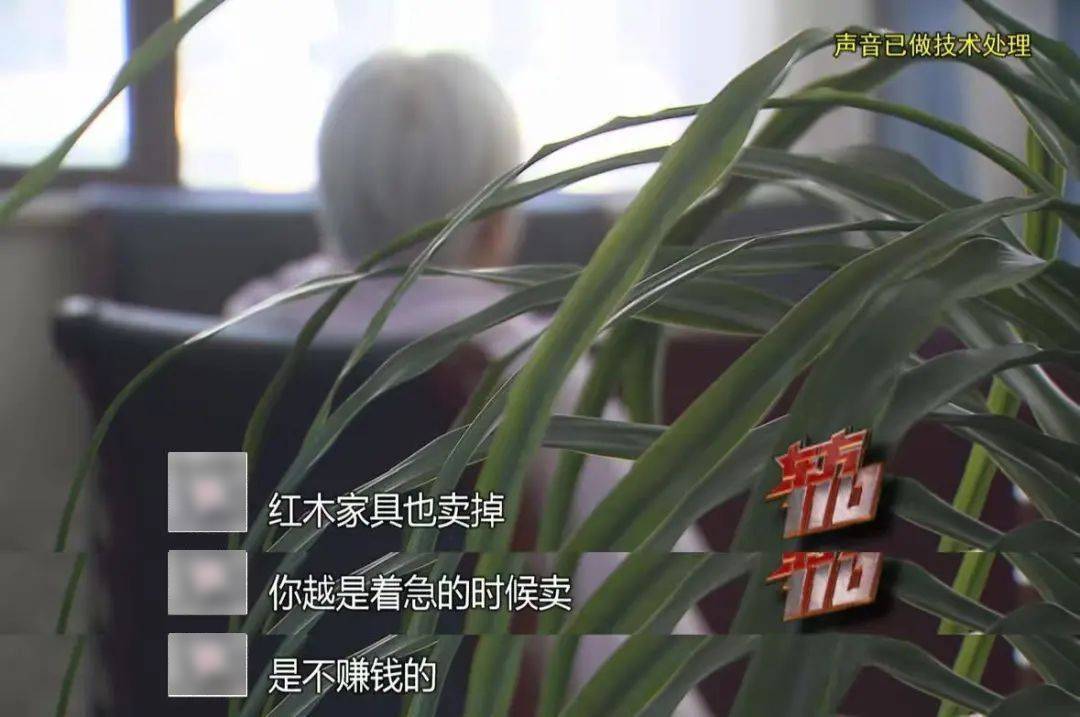皇冠信用在线开户
_上海“拆二代”败光5套房近4000万皇冠信用在线开户
,彩票中800万又挥霍一空…