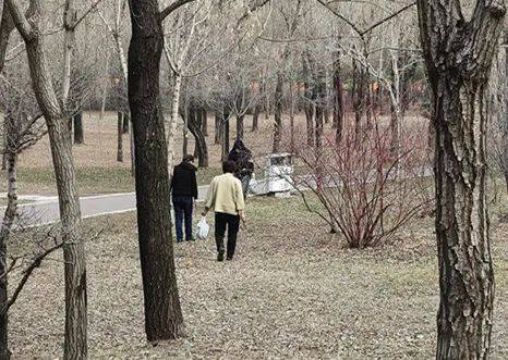 皇冠体育App下载
_哈尔滨人注意!你挖的婆婆丁皇冠体育App下载
,可能“价值”500元…