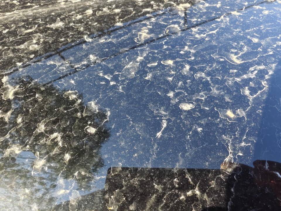 皇冠信用網登2登3
_昨晚这场暴风骤雨皇冠信用網登2登3
,让济南很多车辆变成“大花脸”