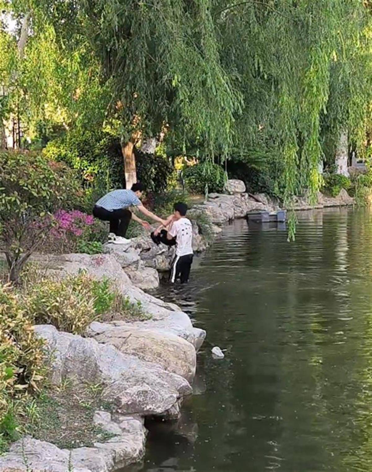 信用盘如何申请
_徐州一女童落水被救起信用盘如何申请
,家长赶来先责怪孩子,救人者:家长当时吓坏了,后来已道谢