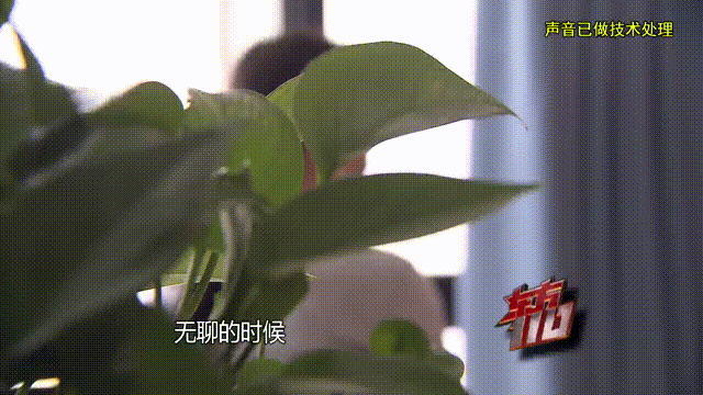 介绍个信用网址多少
_37岁痴情女子倾尽百万泡面果腹仍坚持转账:帮介绍个信用网址多少
他有种使命感