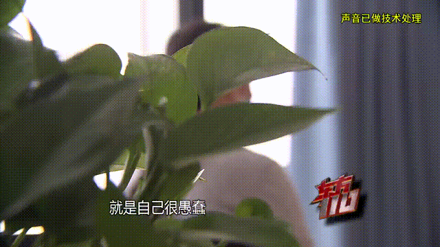 介绍个信用网址多少
_37岁痴情女子倾尽百万泡面果腹仍坚持转账:帮介绍个信用网址多少
他有种使命感