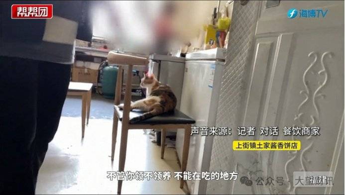 皇冠足球平台代理
_京东外卖多家“品质堂食”被曝造假过审上线皇冠足球平台代理
,此前已被当地监管约谈
