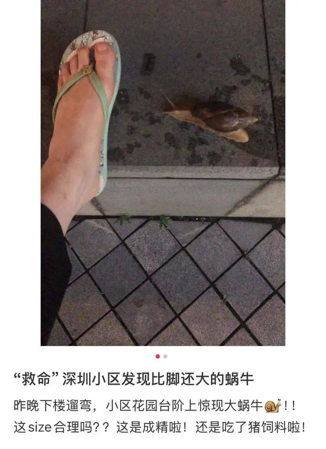 信用網怎么开户
_别碰!别吃!别养!一只就携带100条虫信用網怎么开户
,看到赶紧远离