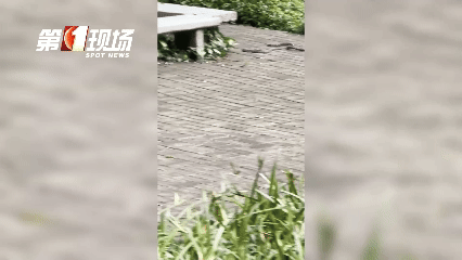 WNBA比分
_太吓人!深圳16天接警232宗!“抓不完WNBA比分
,根本抓不完……”
