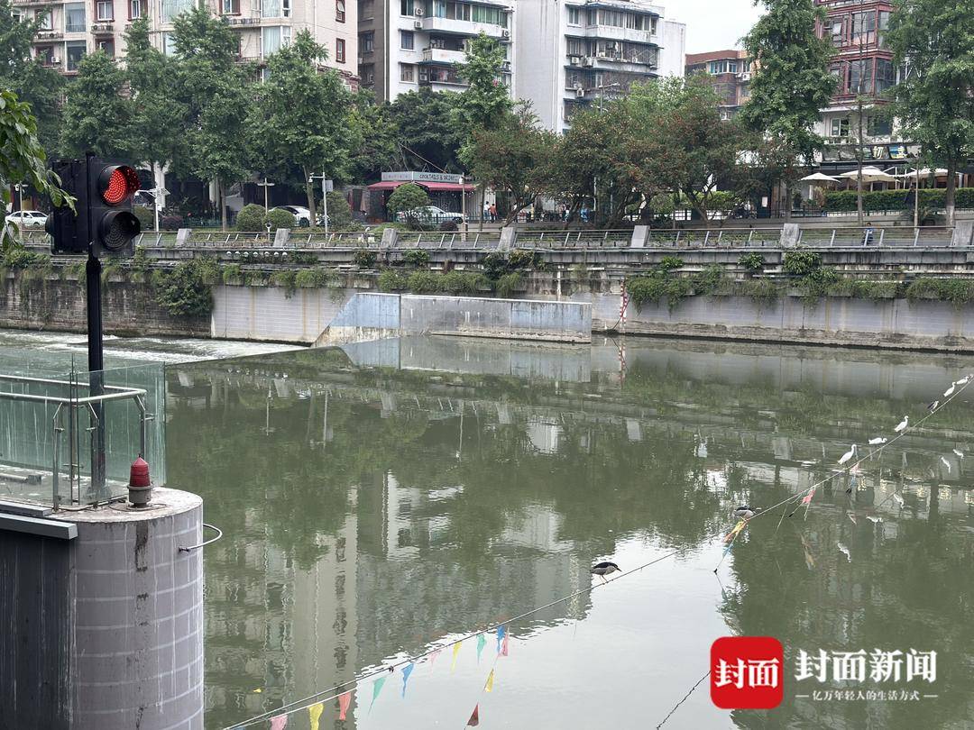 美式足球比分
_成都又见江上“神”鸟美式足球比分
,洗完脚又排排站 网友:在等红绿灯吗?