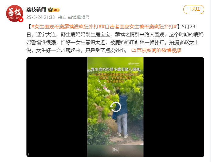 信用網怎么开户
_视频曝光!大连一女子在市区内遭母鹿疯狂扑打信用網怎么开户
,知情人称疑因拍刚出生小鹿,当地:已贴告示提醒,择机将鹿迁移回山里