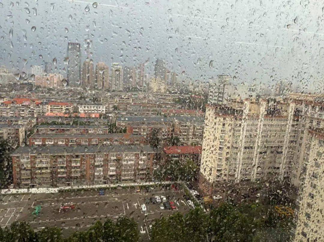 皇家马德里vs希拉尔_天津:雨下了皇家马德里vs希拉尔!树倒了!10级大风!黄色预警!