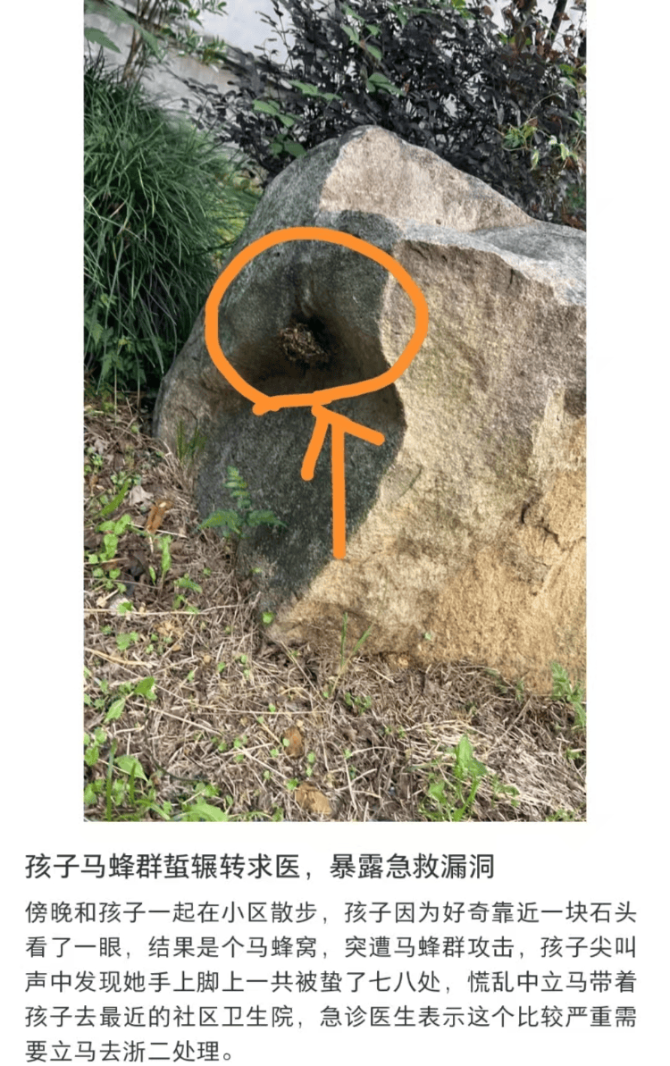 亚冠精英_6岁女童被马蜂蜇伤辗转5家医院才得到治疗亚冠精英?杭州卫健委:会反映给相关处室