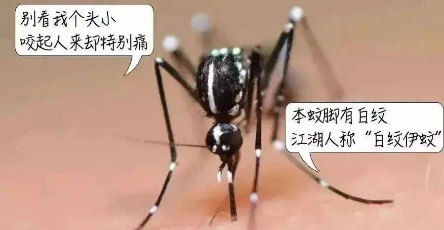 皇冠信用网登2代理
_风险增大皇冠信用网登2代理
!深圳疾控:去这247处要小心!张文宏首次发声