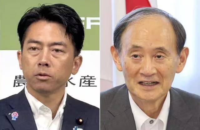 山形山神vs鸟栖沙岩_黑锅背完石破茂被赶下台山形山神vs鸟栖沙岩,下届日本首相人选,有个“反华”魔怔人